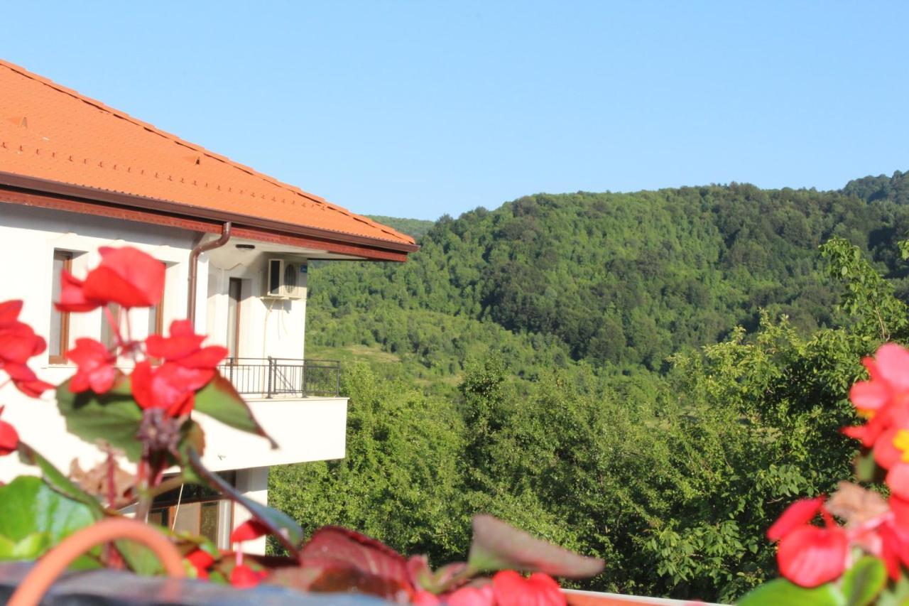 Бадевски Рай- Къща София Veliko Tarnovo Extérieur photo