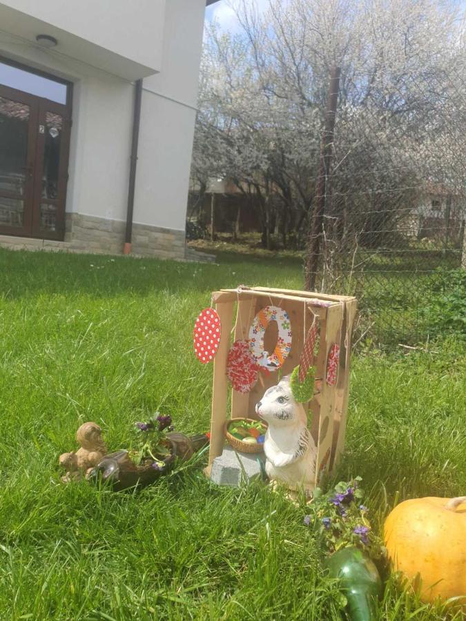 Бадевски Рай- Къща София Veliko Tarnovo Extérieur photo